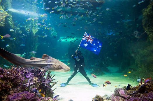 Sydney-Aquarium-1