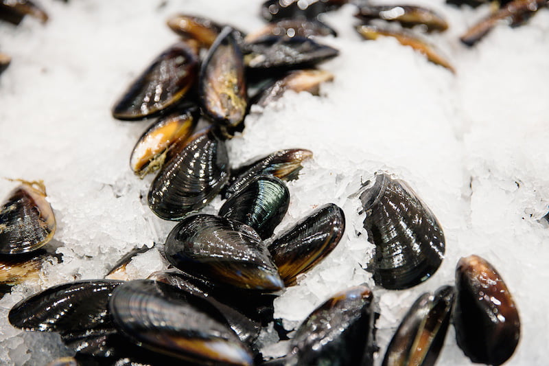 online fish market mussels 
