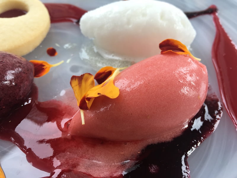 'Canvas’ of mixed Sorbet with biscuit tuille and coulis - Lunch Like Van Gogh