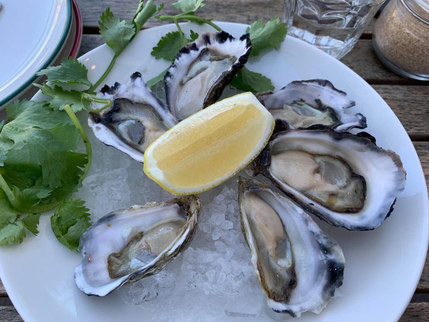 Mosman-Rowers-Oyster