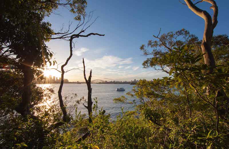 Best Coastal Walks Sydney