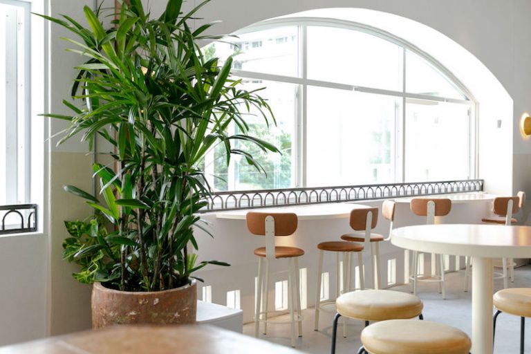 Harbord Hotel Reopening