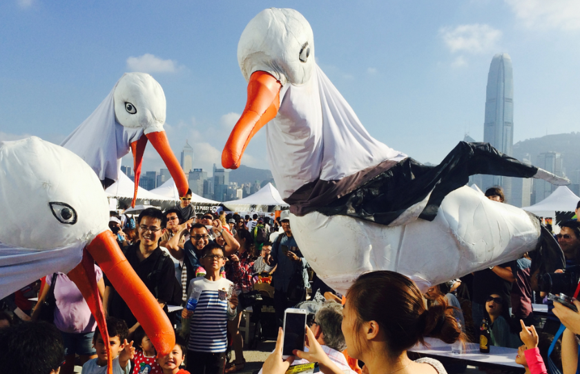 Seagulls crowd activation at Sydney Festival 2024