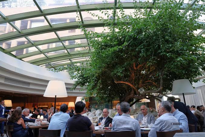 Olympus Dining Redfern
