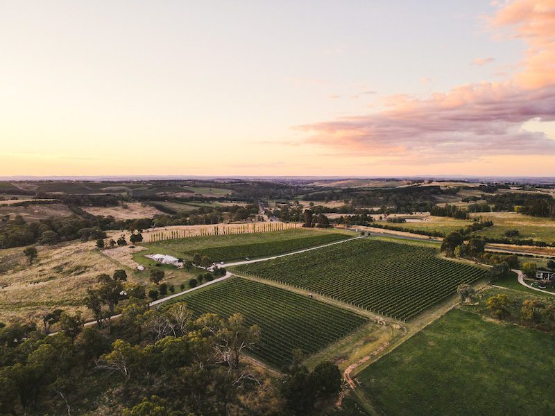 First Timers Guide To A Weekend In Orange