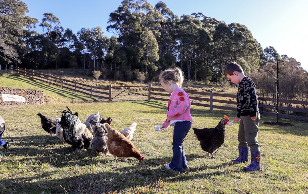A Kid-Friendly Guide to NSW’s South Coast & Southern Highlands