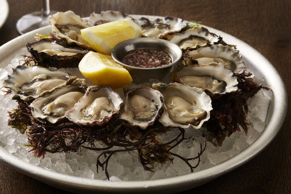 Best Spots for Freshly Shucked Oysters in Sydney