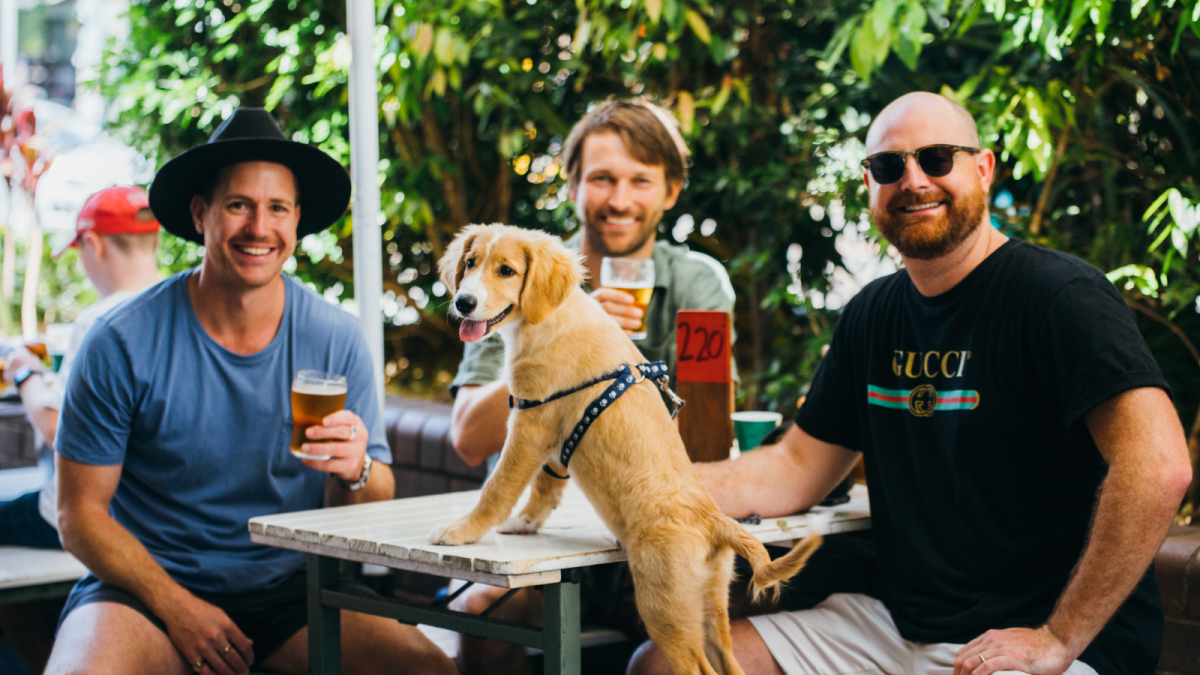 Pups Take Over The Erko for a Day of Treats and Tail Wags